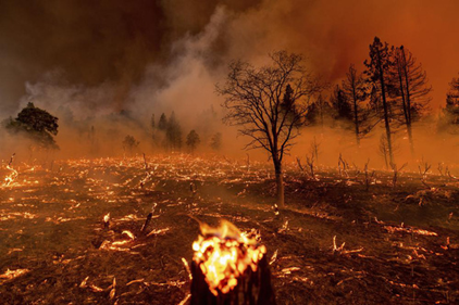 Cháy rừng ở Doyle, bang California hôm 9-7 - Ảnh: AP
